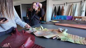 Cuirs exotiques présentés dans le showroom des Tanneries Roux